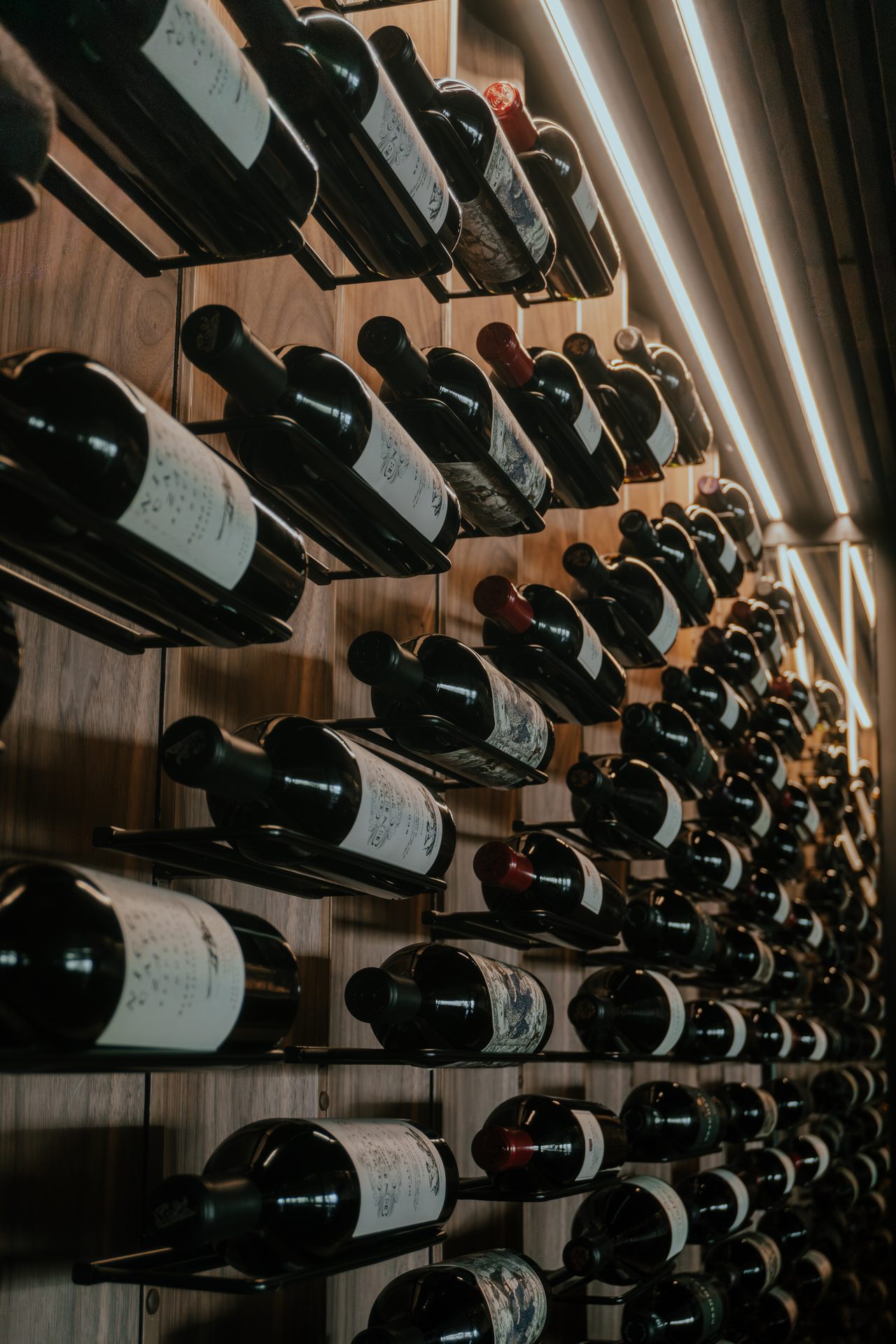 Cava de vinos